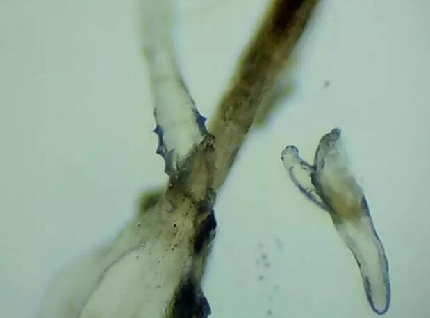 QQ截图20171128123409.jpg QQ截图20171128123409.jpg