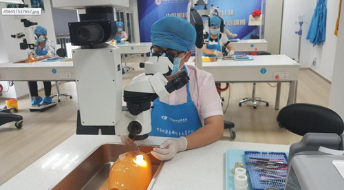 中国企业知识产权网：易游体育让 点亮光明世界1.jpg