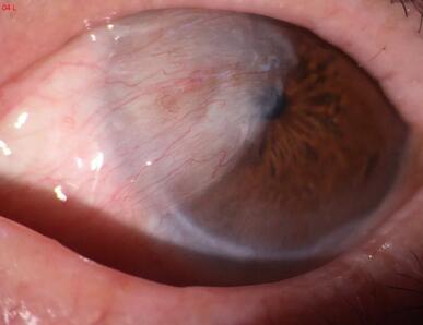 易游体育党员风采之淮南易游体育李建东院长:为光明而来,任重而道远3.jpg 易游体育党员风采之淮南易游体育李建东院长:为光明而来,任重而道远3.jpg