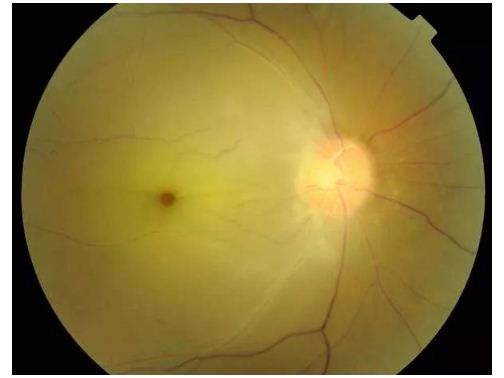 捕获2.JPG 捕获2.JPG